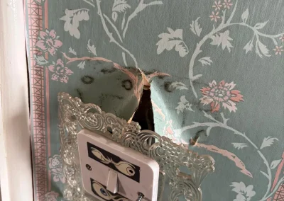 Older wiring behind a decorative light switch.